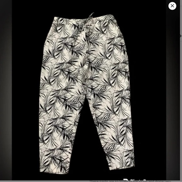 Lotus Eaters pants - Picture 2 of 5